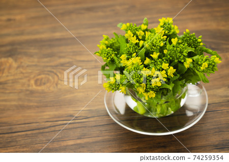Rape blossoms Nabana Ingredients Flowers Food Spring Raw Fresh Fresh 74259354