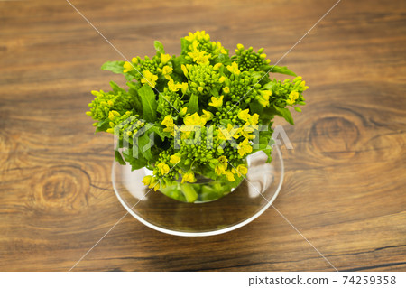 Rape blossoms Nabana Ingredients Flowers Food Spring Raw Fresh Fresh 74259358