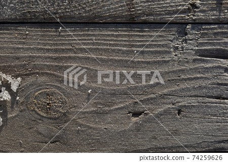 Gray weathered board frozen on morning sun Gray weathered board frozen on morning sun 74259626