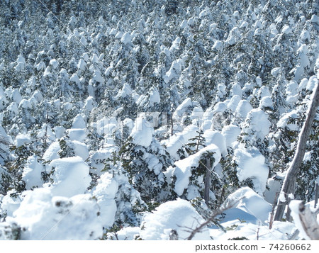 Winter's Kita Yatsugatake Winter's Kita Yatsugatake 74260662