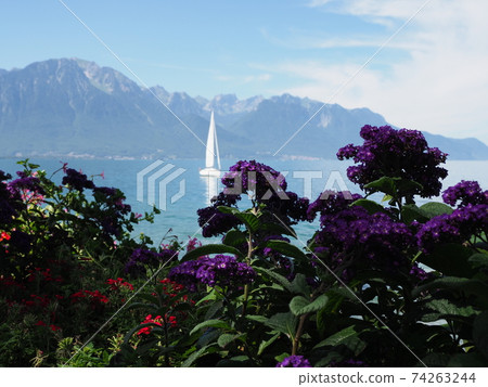 White yacht and flowers at promenade in Montreux city in Switzerland White yacht and flowers at promenade in Montreux city in Switzerland 74263244