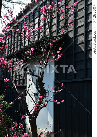 冬天的半田運河附近 74263507