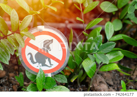 Pets Animals Pooping Restriction or Paddock Forbidden Sign in Public Garden Park 74264177