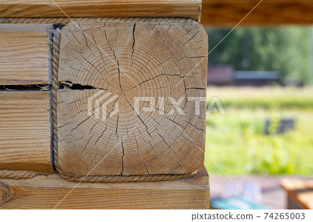 end of squere log, wall of squere logs, timber wall, new house, new timber from squere bar closeup. 74265003