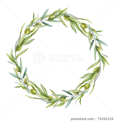 Olive branch and leaves wreath watercolor... - Stock Illustration ...
