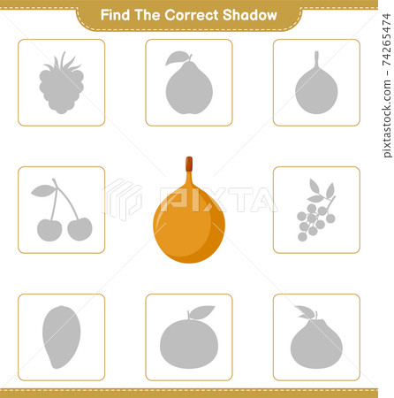 Find the correct shadow. Find and match the correct shadow of Voavanga. Educational children game, printable worksheet, vector illustration 74265474