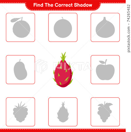 Find the correct shadow. Find and match the correct shadow of Pitaya. Educational children game, printable worksheet, vector illustration 74265482