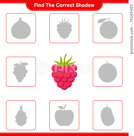 Find the correct shadow. Find and match the correct shadow of Raspberries. Educational children game, printable worksheet, vector illustration 74265483