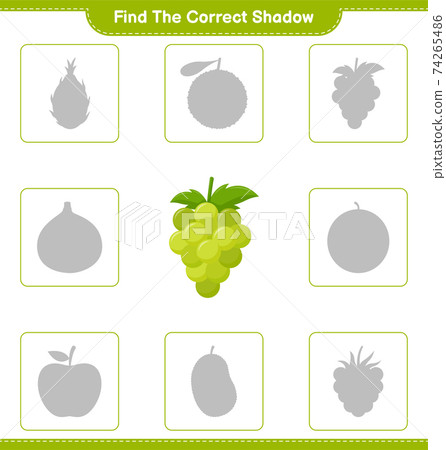 Find the correct shadow. Find and match the correct shadow of Grape. Educational children game, printable worksheet, vector illustration 74265486
