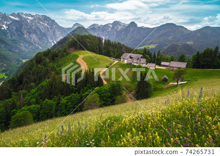 Logar valley view and mountains from the flowery slopes, Slovenia 74265731
