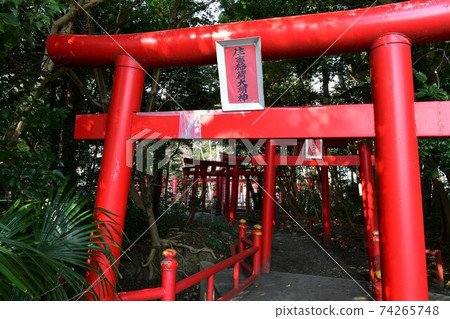 冬天的住吉神社 74265748