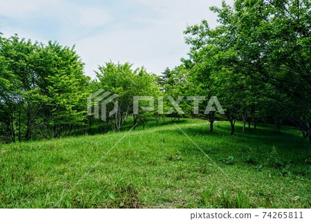Kirin Kisogawa Water Source Forest Fresh Green Senbon Sakura no Oka Kirin Kisogawa Water Source Forest Fresh Green Senbon Sakura no Oka 74265811