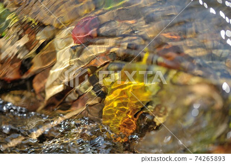 溪流 溪流 74265893