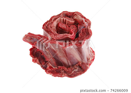 Raw fresh deer ribs Raw fresh deer ribs 74266009