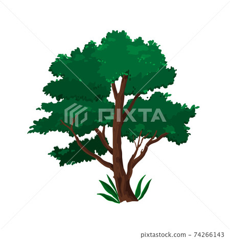 Green tree vector cartoon illustration with big... - Stock Illustration ...