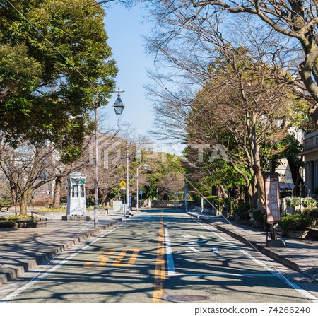 The streets of Yamate where Western-style buildings are lined up in Yokohama 74266240