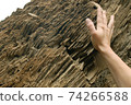 Woman feeling a petrified tree 74266588
