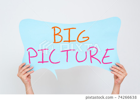 Conceptual hand writing showing Big Picture Conceptual hand writing showing Big Picture 74266638