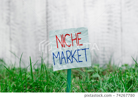 Handwriting text Niche Market. Concept meaning 74267780