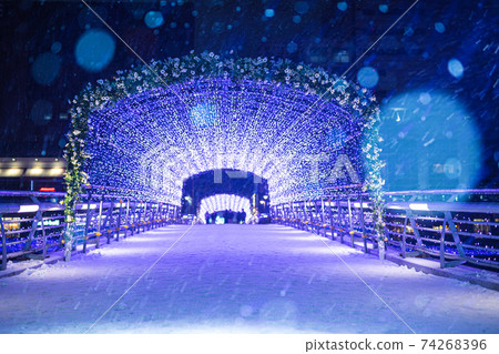 Kokura Illumination in the snowy landscape Kokura Illumination in the snowy landscape 74268396