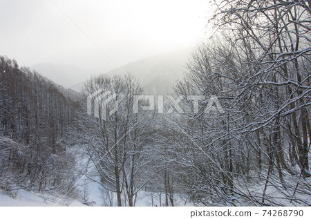 Morning mist shining in the morning sun on the Takizawa route of Mt. Aizu Komagatake in the winter of 100 famous mountains in Japan in Hinoemata Village, Minamiaizu District, Fukushima Prefecture 74268790