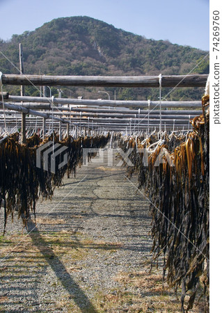 Scenery of the Ena coast, dried seaweed in the sun, Yura Town, Hidaka District, Wakayama Prefecture Scenery of the Ena coast, dried seaweed in the sun, Yura Town, Hidaka District, Wakayama Prefecture 74269760
