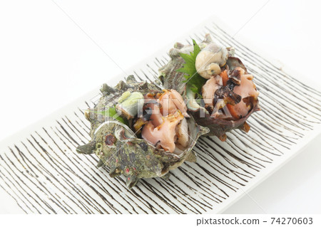兩個生魚片的頭巾殼,方形板,白色背景,字符空間 兩個生魚片的頭巾殼,方形板,白色背景,字符空間 74270603