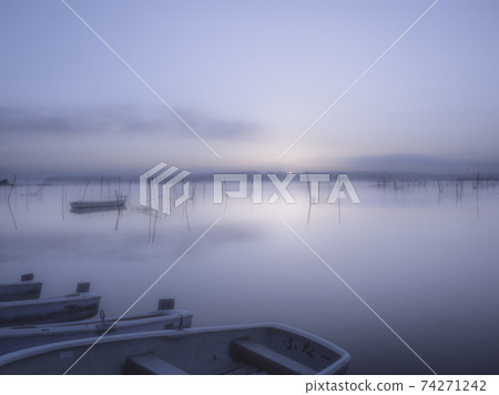 Inba marsh landscape at dawn Inba marsh landscape at dawn 74271242