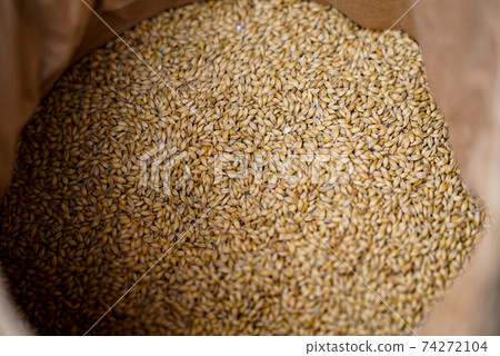 Sieve malt sorting whiskey barrel barrel aging warehouse warehouse aging antique liquor luxury item Arco 74272104