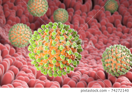 Rotavirus bacteria on the microvilli surface of digestive system 74272140