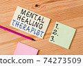 Text sign showing Mental Healing Therapist 74273509