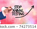 Conceptual hand writing showing Stop Animal 74273514