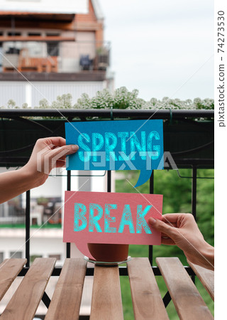 Conceptual hand writing showing Spring Break Conceptual hand writing showing Spring Break 74273530