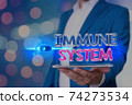 Handwriting text Immune System. Concept meaning a 74273534