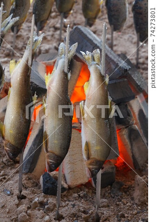 Ayu Yamame鹽烤串木炭烤河魚 74273801
