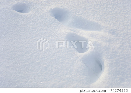 Fresh snow with foot prints. Winter background Fresh snow with foot prints. Winter background 74274353