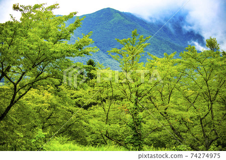 鳥取大仙周邊的山景 74274975
