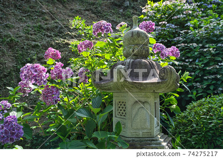 《Okayama Prefecture》 Scenery of Otakiyama Nishihoin, sunny day in June 《Okayama Prefecture》 Scenery of Otakiyama Nishihoin, sunny day in June 74275217