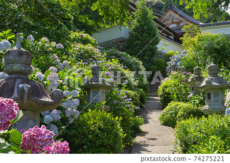 《岡山縣》大t山西鳳院風光,六月的晴天 《岡山縣》大t山西鳳院風光,六月的晴天 74275221