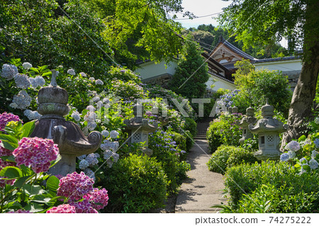《岡山縣》大t山西鳳院風光,六月的晴天 《岡山縣》大t山西鳳院風光,六月的晴天 74275222