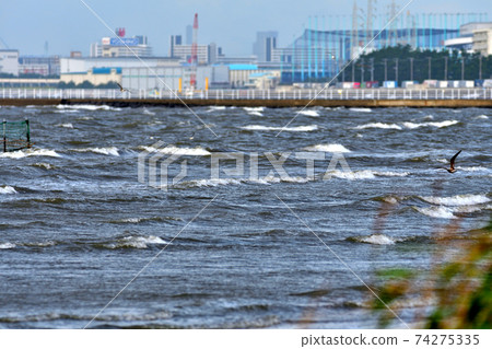 Funabashi Sanbanze Kaihin Park Aranami Urayasu area 74275335