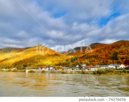 Autumn leaves in the Wachau valley 74276056