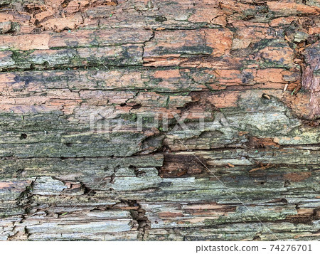 Background, texture of an old rotting, damaged wooden surface 74276701