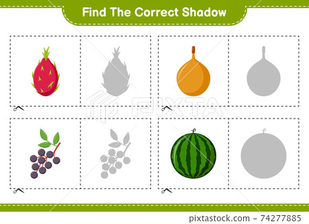 Find the correct shadow. Find and match the correct shadow of Fruits. Educational children game, printable worksheet, vector illustration 74277885