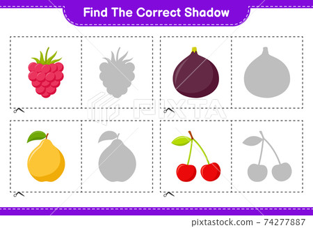 Find the correct shadow. Find and match the correct shadow of Fruits. Educational children game, printable worksheet, vector illustration 74277887