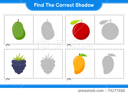 Find the correct shadow. Find and match the correct shadow of Fruits. Educational children game, printable worksheet, vector illustration 74277888