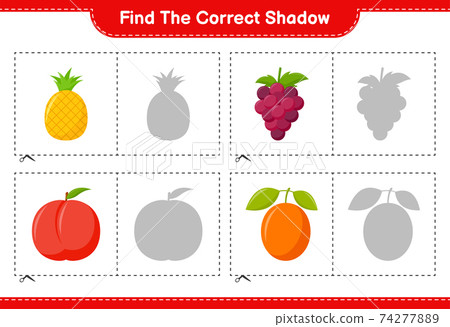 Find the correct shadow. Find and match the... - Stock Illustration ...