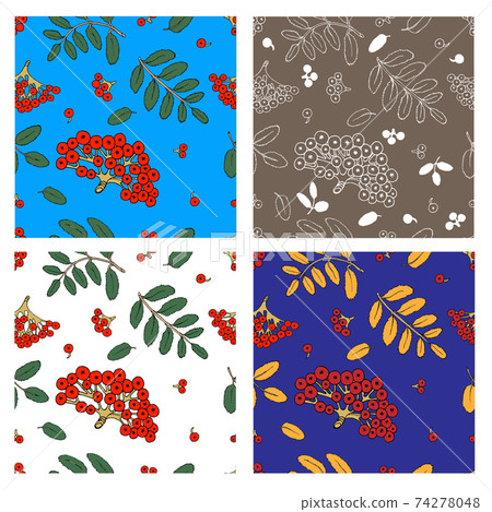 Ash berry Seamless Pattern Set Ash berry Seamless Pattern Set 74278048