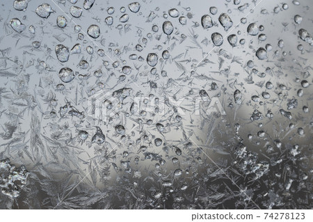 Icy flowers-glass blur of frozen window 74278123