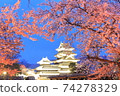 [長野]松本城的夜櫻花 74278329